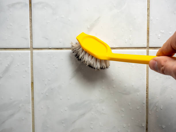 Best Professional Mold Removal  in Warren, OR