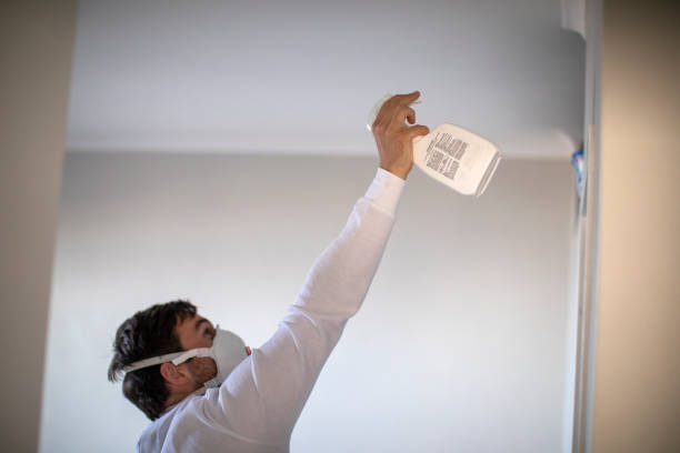 Best Best Mold Removal Companies  in Warren, OR