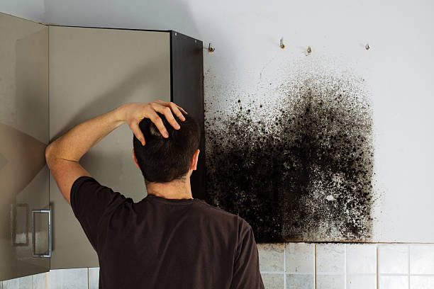 Best Office Mold Removal Services  in Warren, OR